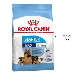 Royal Canin Maxi Starter 1 Kg รอยัลคานิน อาหารสุนัข พันธุ์ใหญ่ อาหารสุนัขตั้งท้อง อาหารสุนัขหย่านม