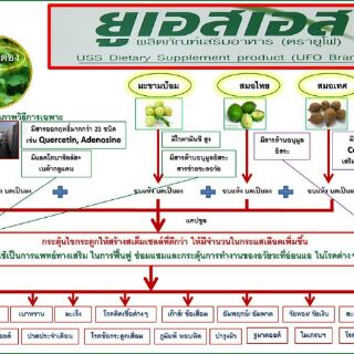 ภาพขนาดย่อของภาพหน้าปกสินค้าคาวตองuss พลูคาว กระตุ้นเสริมภูมิคุ้มกัน 60caps สูตรเข้มข้น จากร้าน spyspon บน Shopee ภาพที่ 1