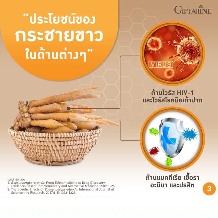 กระชายขาวสกัด-ชนิดแคปซูล-กิฟฟารีน-กระชาย-พลัส-giffarine-krachai-plus-รับประทานง่าย-และเข้มข้นมากกว่าการทานแบบสด