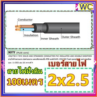 สายไฟ NYY 2x2.5 100เมตร สายไฟฝั่งดิน nyy2x2.5 มาตรฐานการไฟฟ้า ป้องกันความชี่น ฝังดินโดยตรง สายไฟกันน้ำ