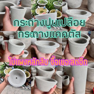 กระถางปูนเปลือย กระถางแคคตัส กระถางต้นไม้ ไม่แพงมีราคาส่ง 🌵