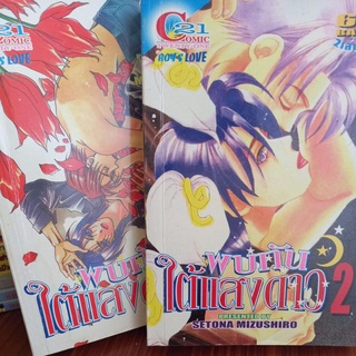 หนังสือการ์ตูนคัทวาย พบกันใต้แสงดาว 2 เล่มจบ ผลงานSETONA MIZUSHIRO