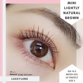 🔥 คอนแทคเลนส์✨ขนาดมินิ ✨Brown✨Lightly Natural (Luxzylens)