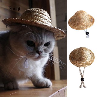 ภาพหน้าปกสินค้าSq_novelty หมวกกันแดดสำหรับสัตว์เลี้ยง ซึ่งคุณอาจชอบราคาและรีวิวของสินค้านี้