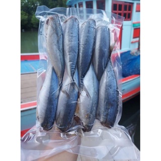 ภาพหน้าปกสินค้าปลาทูเเขกเเดดเดียว500กรัม เนื้อหนามันหอม ที่เกี่ยวข้อง