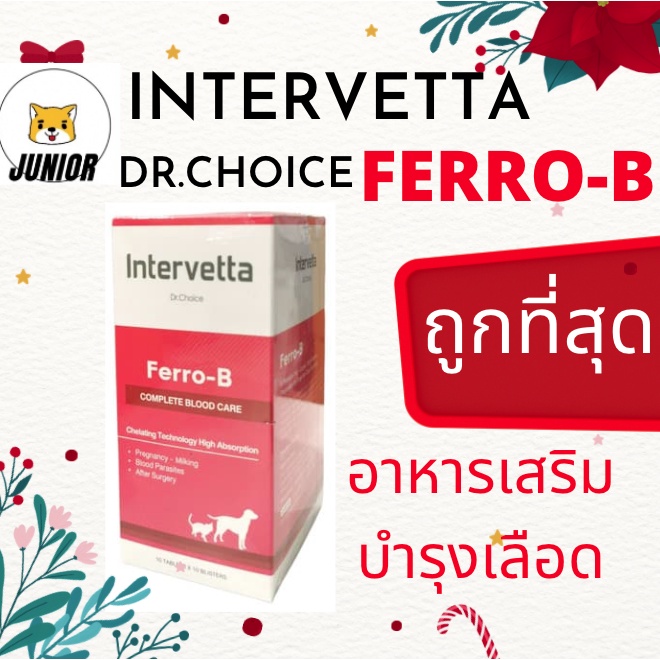 ภาพหน้าปกสินค้าDr. Choice Ferro-B Intervetta บำรุงเลือด วิตามิน อาหารเสริม สำหรับ สุนัข แมว Iron Supplement dog cat