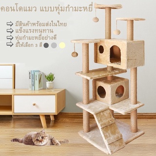 ภาพหน้าปกสินค้าM009 [สินค้าอยู่ในไทย พร้อมส่ง] ‼️คอนโดแมว เสาลับเล็บแมวได้ สูง150cm ที่เกี่ยวข้อง