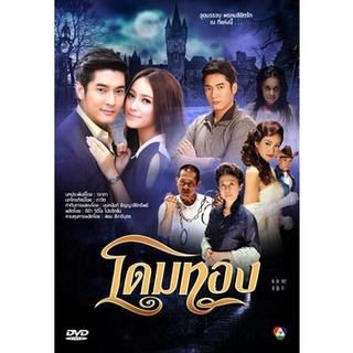 โดมทอง แผ่น dvd ดีวีดี