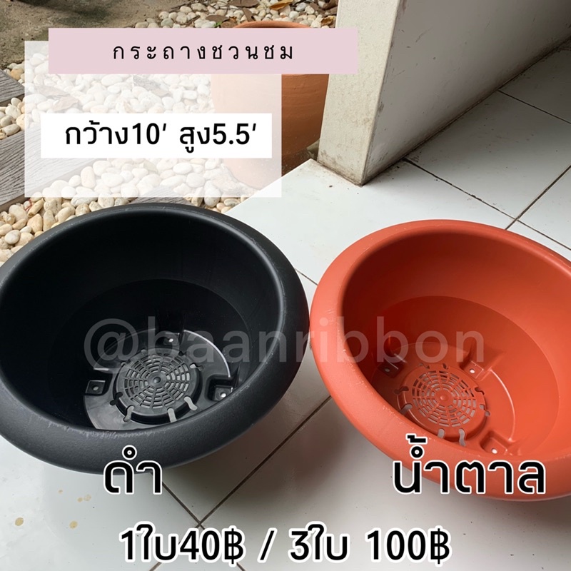 กระถางชวนชม-10-นิ้ว-ตกแต่งสวน-ไม่มีถาดรอง