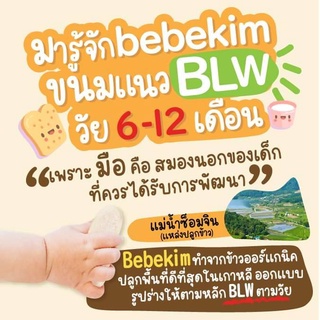 ภาพขนาดย่อของภาพหน้าปกสินค้าโปร 10.10 Bebekim ขนมเด็กข้าวออร์แกนิกแท้ Step 1,2,3 สำหรับน้อง 6 เดือนขึ้นไป จากร้าน organika2kids บน Shopee