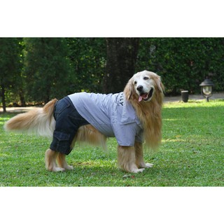 Pet cloths -Doggydolly เสื้อผ้าหมาใหญ่ Bigdog หมาใหญ่ ชุดกางเกง เสื้อเชิ๊ต กางเกงยีนส์  11-50 โล BD179