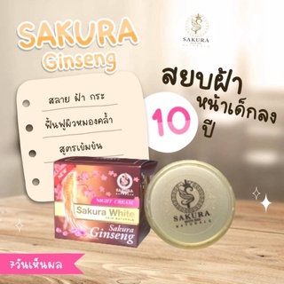 Night Cream Sakura White Sakura Ginseng 20g. ครีมโสมซากุระ