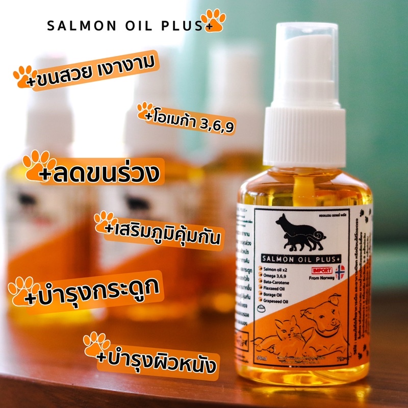 salmon-oil-plus-น้ำมันปลาแซลมอน-50ml-พร้อมหัวฉีด-น้ำมันปลาแซลม่อน-สำหรับสัตว์เลี้ยง-ลูกแมว-แม่แมว-ลูกสุนัข-สนุข