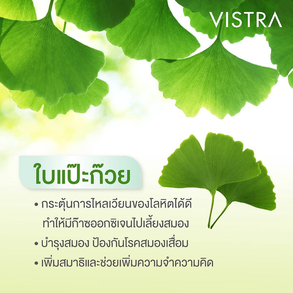 vistra-ginkgo-120mg-สารสกัดจากใบแปะก๊วย-บำรุงสมอง