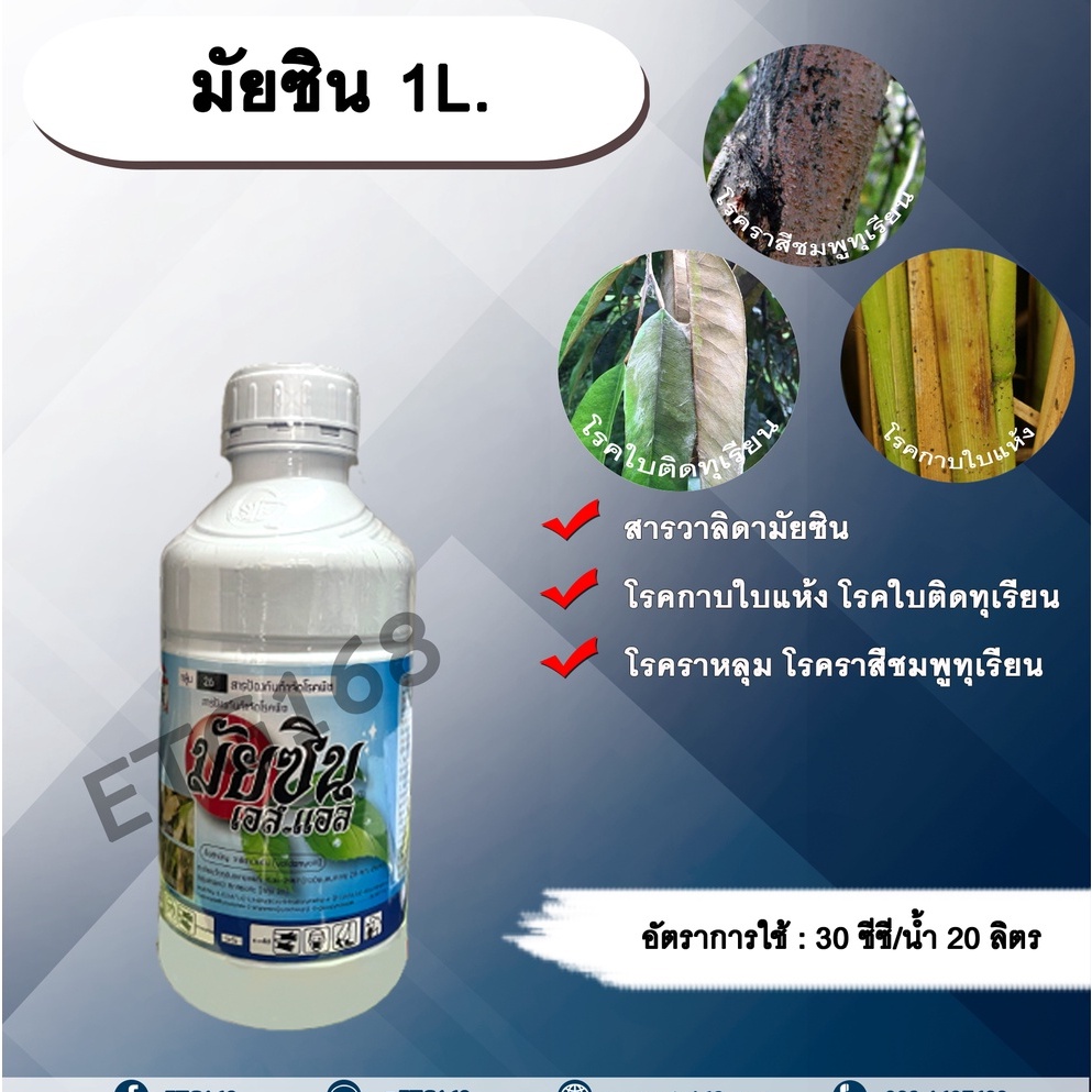 มัยซิน-1l-วาลิดามัยซิน-สารป้องกันกำจัดโรคพืช-สารป้องกันเชื้อรา-สารกำจัดโรคพืช-โรคกาบใบแห้ง-โรคราหลุม-ในข้าว