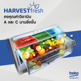 ภาพขนาดย่อของภาพหน้าปกสินค้าBeko RDNT271I50VK 9 คิว ตู้เย็น 2 ประตู Inverter ตู้เย็น 2 ประตู จากร้าน beko_thailand บน Shopee ภาพที่ 4