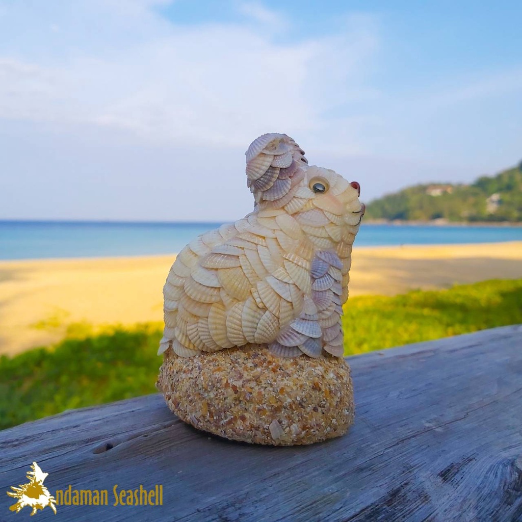 andaman-seashell-ตุ๊กตาปูนปั้นติดเปลือกหอย-กระต่าย-ติดหอยแครง