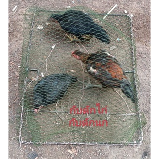 ภาพหน้าปกสินค้ากับดักไก่แบบตาข่ายและกับดักนกทุกชนิดขนาดกว้าง 54 เซนยาว 74 เซนน้ำหนักเบานกติดแล้วไม่หลุดใช้งานได้นานหลายปี ที่เกี่ยวข้อง