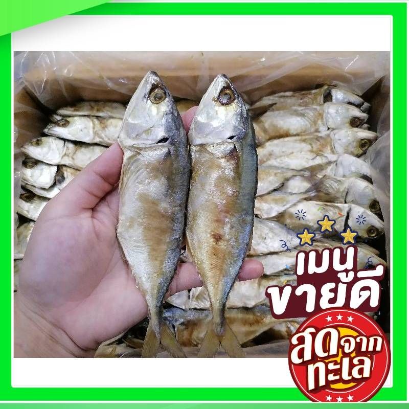 รูปภาพสินค้าแรกของปลาทูหอมแพ็คแบ่งขาย1ตัว