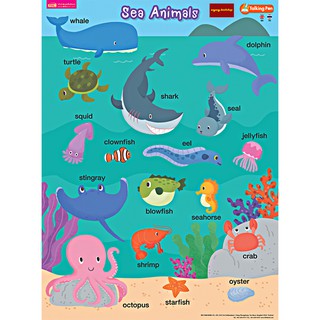 โปสเตอร์พลาสติก Sea Animals (ใช้ร่วมกับปากกาพูดได้Talking Penได้)