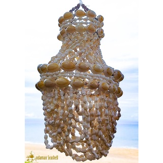 Andaman seashell โมบายแชนเดอเรียเปลือกหอย ทรงโดม หอยนาซา 5