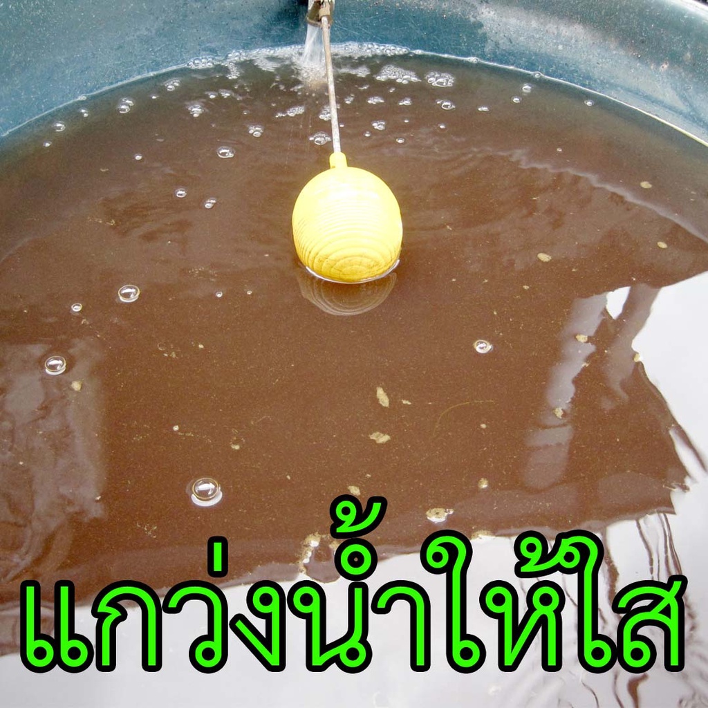 สารส้ม-สารส้มใส-แบบก้อน-สารส้มระงับกลิ่น-สารส้มก้อน-สารส้มดับกลิ่น-สารส้มทำน้ำประปา-ammonium-aluminium-sulfate