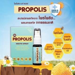 ภาพหน้าปกสินค้า🔥🔥2ขวดถูกลง🔥🔥โพรโพลิซ 15 ml. เมาท์สเปรย์ PROPOLIS พ่นคอ แก้ระคายคอ แก้เจ็บคอ ที่เกี่ยวข้อง