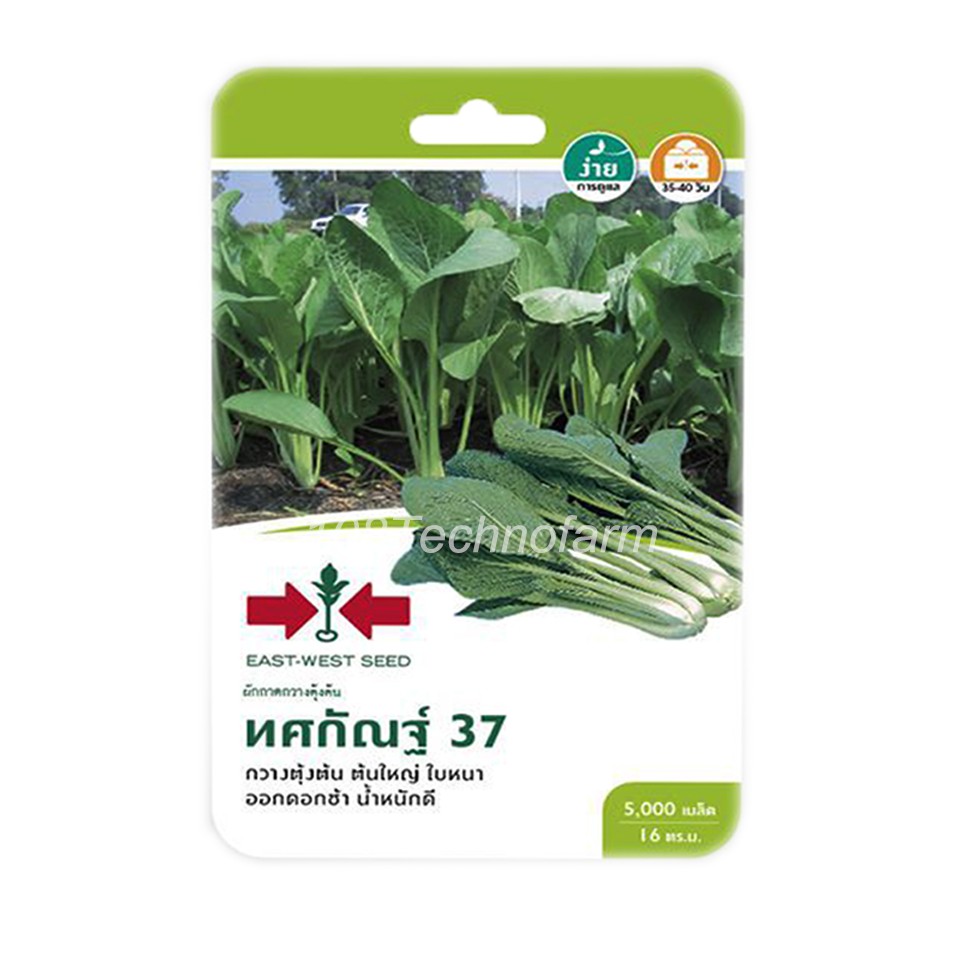 เมล็ดพันธุ์-กวางตุ้งต้นทศกัณฑ์37-ตราศรแดง