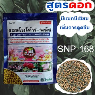 ออสโมโค้ทพลัส-osmocote-plus-สูตร-12-25-6-1-magnesium-ปุ๋ยละลายช้า-สูตร-6เดือน-ขนาดซอง-100กรัม