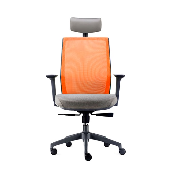 df-prochair-เก้าอี้เพื่อสุขภาพ-รุ่น-loop-h
