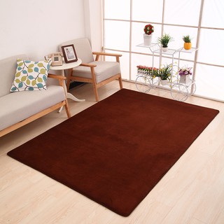 พรมปูพื้นเหมาะสำหรับผู้แพ้ฝุ่น carpet fur style 140*180cm