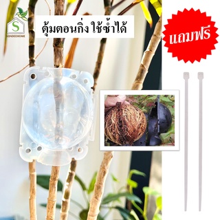 (🔥ค่าส่งถูก) ตุ้มตอนกิ่ง แถมฟรีเคเบิ้ลไทร์ ตุ้มตอนกิ่งพลาสติก ที่ตอนกิ่ง กระเปาะตอนกิ่ง ต่อกิ่ง