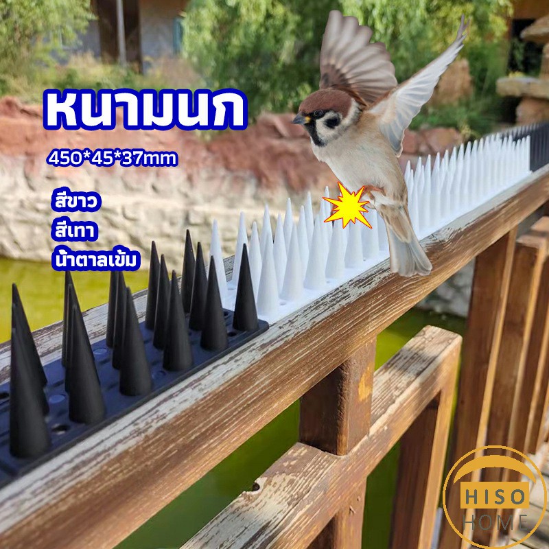 หนามนก-อุปกรณ์ไล่นก-น้ำยาไล่นก-หนามที่กั้นไม่ให้แมวเข้ามา-bird-thorn