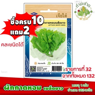 [10แถม2] เจียไต๋ เมล็ดพันธุ์ ผักกาดหอมเมล็ดขาว Lettuce ประมาณ 960 เมล็ด ตราเจียไต๋ เมล็ดพันธุ์ผัก เมล็ดผัก เมล็ดพืช ผักส