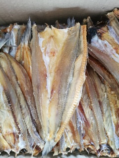 ภาพหน้าปกสินค้าปลาจิ๊กโก๋ใหญ่ ช่อนทะเลแห้ง จืด ปลอดสาร  ถูกที่สุด ที่เกี่ยวข้อง