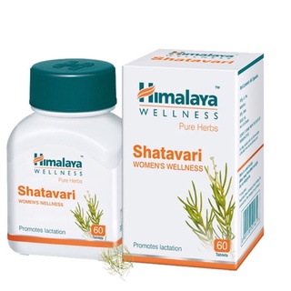 สินค้า shatavari himalaya แท็บเล็ต
