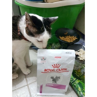 โรยัล คานิน รีนัล Royal Canin Renal อาหารแมวโรคไต อาหารประกอบการรักษา อาหารเม็ด VET Dry Cat อาหารแมวป่วย