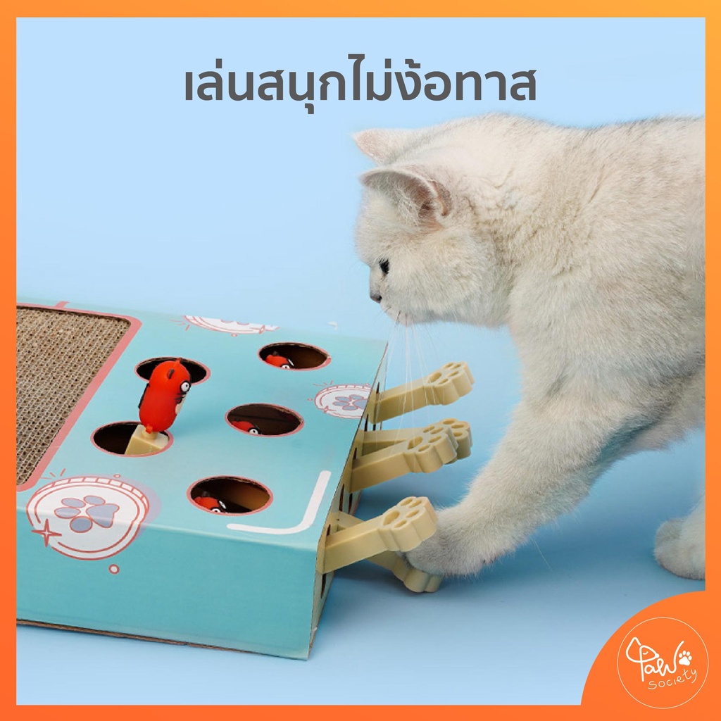 ภาพสินค้าPawSociety กล่องของเล่น พร้อมที่ฝนเล็บแมว ตัวตุ่นแมว ของเล่นแมว ที่ลับเล็บแมว กล่องปริศนา จากร้าน pawsociety บน Shopee ภาพที่ 2