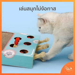 ภาพขนาดย่อของภาพหน้าปกสินค้าPawSociety กล่องของเล่น พร้อมที่ฝนเล็บแมว ตัวตุ่นแมว ของเล่นแมว ที่ลับเล็บแมว กล่องปริศนา จากร้าน pawsociety บน Shopee ภาพที่ 2