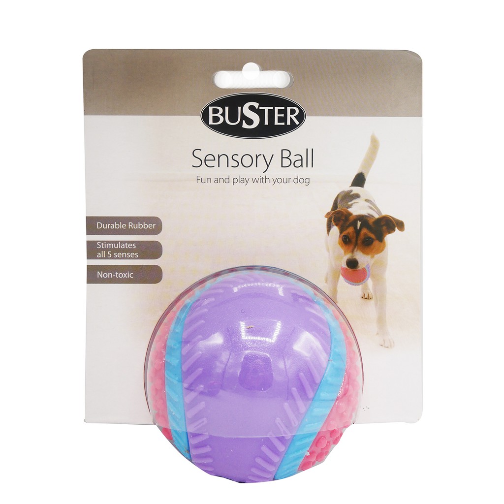 buster-sensory-ball-ของเล่นสุนัขช่วยกระตุ้นระบบประสาททั้ง-5-ของสุนัขไปพร้อมๆกับความสนุกสนาน-นำเข้าจากประเทศเดนมาร์ก
