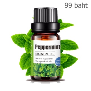 Aliztar 100% Pure Peppermint Essential Oil 10 มิล น้ำมันหอมระเหยเปปเปอร์มินท์แท้ อโรมาเทอราพี เตาอโรมา เครื่องพ่นไอน้...