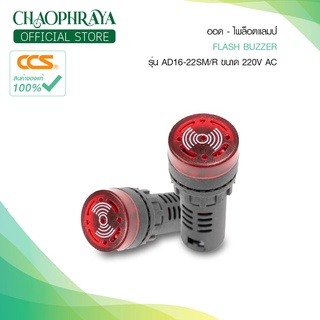 ออด-ไพล็อตแลมป์ " Flash Buzzer " รุ่น AD16-22SM/R ขนาด 220V AC แบรนด์CCS