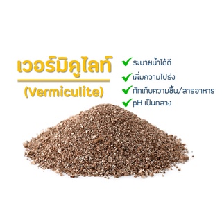 เวอร์มิคูไลท์ Vermiculite สำหรับเพิ่มความโปร่งในดิน ดูดซับความชื้นได้ดี