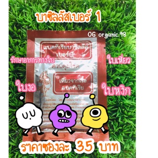 สินค้า บาซิลลัสเบอร์ 1 🦠ควบคุมโรคทางใบ