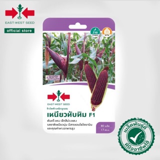 10แถม1 🌽เมล็ดพันธ์ุข้าวโพดเหนียวทับทิม🌽 F1 ตราศรแดง เหนียวนุ่ม มีสารแอนโธไซยานิน มล็ดพันธ์ุข้าวโพด สีม่วงแดง 80เมล็ด