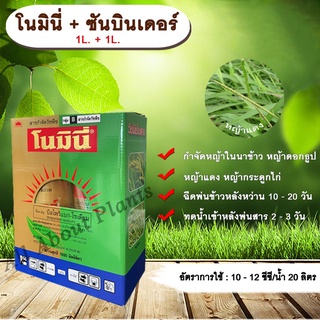 โนมินี่ + ซันบินเดอร์ 1L.+ 1L. บิสไพริแบกโซเดียม สารกำจัดวัชพืช กำจัดหญ้า ในนาข้าว กำจัดหญ้าแดง หญ้ากระดูกไก่ หญ้าดอกธูป