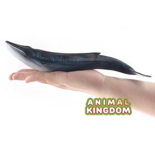 Animal Kingdom - โมเดลสัตว์ ปลาวาฬสีน้ำเงิน ขนาด 27.00 CM (จากสงขลา)