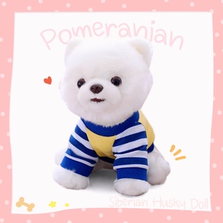 สินค้า ตุ๊กตาหมา Boo 🇹🇭  ปอมเมอเรเนียน หมาสีขาว ขนฟู น่ารัก สุนัข ตุ๊กตาปอมเมอเรเนี่ยน