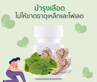 ภาพขนาดย่อของภาพหน้าปกสินค้าIron-Folic มีแคลเซียมเสริมธาตุเหล็กและ โฟเลตสูง(120 เม็ด) จากร้าน saelim.porn1945 บน Shopee ภาพที่ 1