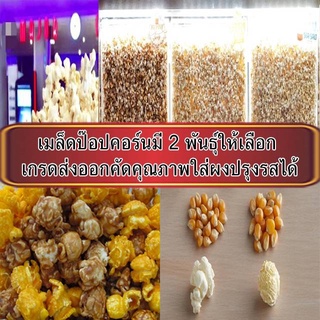 Popcorn เมล็ดข้าวโพดสำหรับทำป๊อปคอร์น แบ่งขาย 450 กรัม